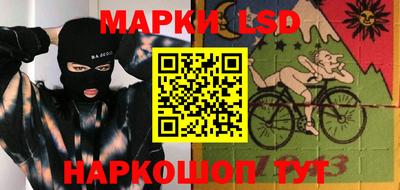 стафф Шебекино