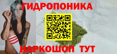 стафф Шебекино