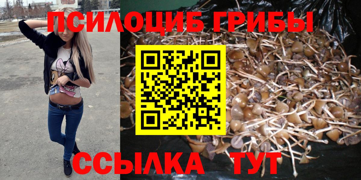 Галлюциногенные грибы Magic Shrooms Ишим