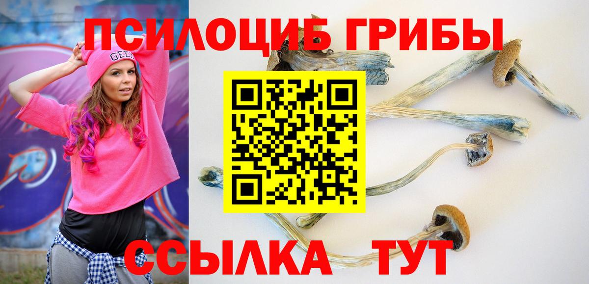 Псилоцибиновые грибы мухоморы  Псилоцибиновые грибы мухоморы  Вход с VPN  Ишим 